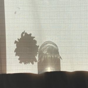 Meet your Posher, Casey